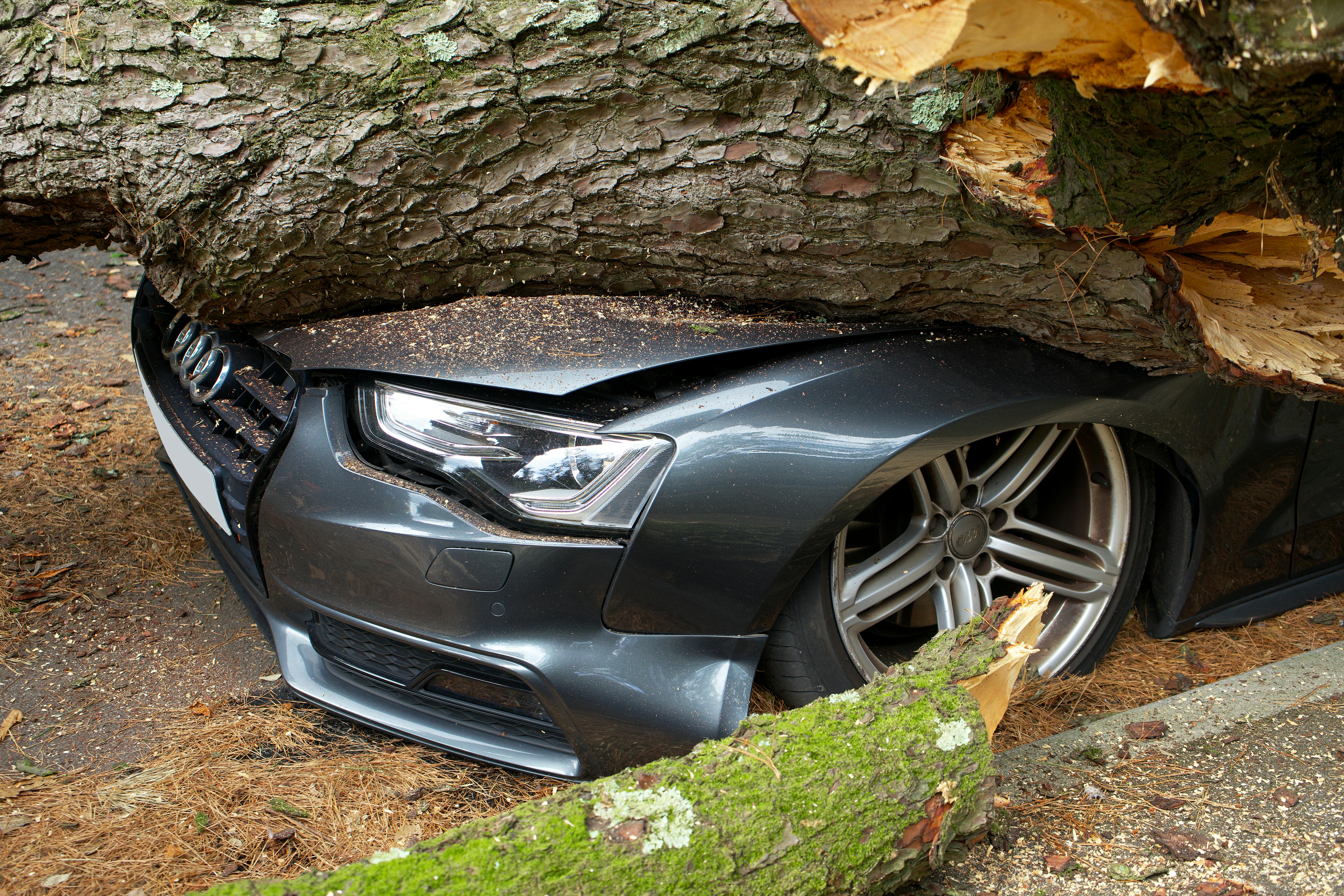 Professional accident and insurance repair services in Kendal, Cumbria